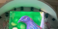 DỰ ÁN MÀN HÌNH LED & ÁNH SÁNG TIỆC CƯỚI HỘI AN PALACE — DO ĐÈN SÂN KHẤU CQ THI CÔNG & LẮP ĐẶT