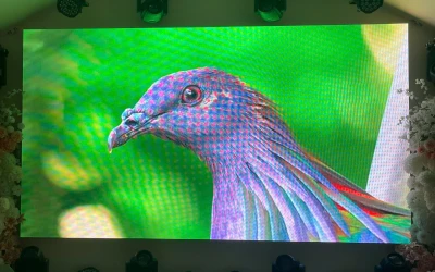 Màn Hình LED Tại Hà Nội — Tổng Quan & Giải Pháp