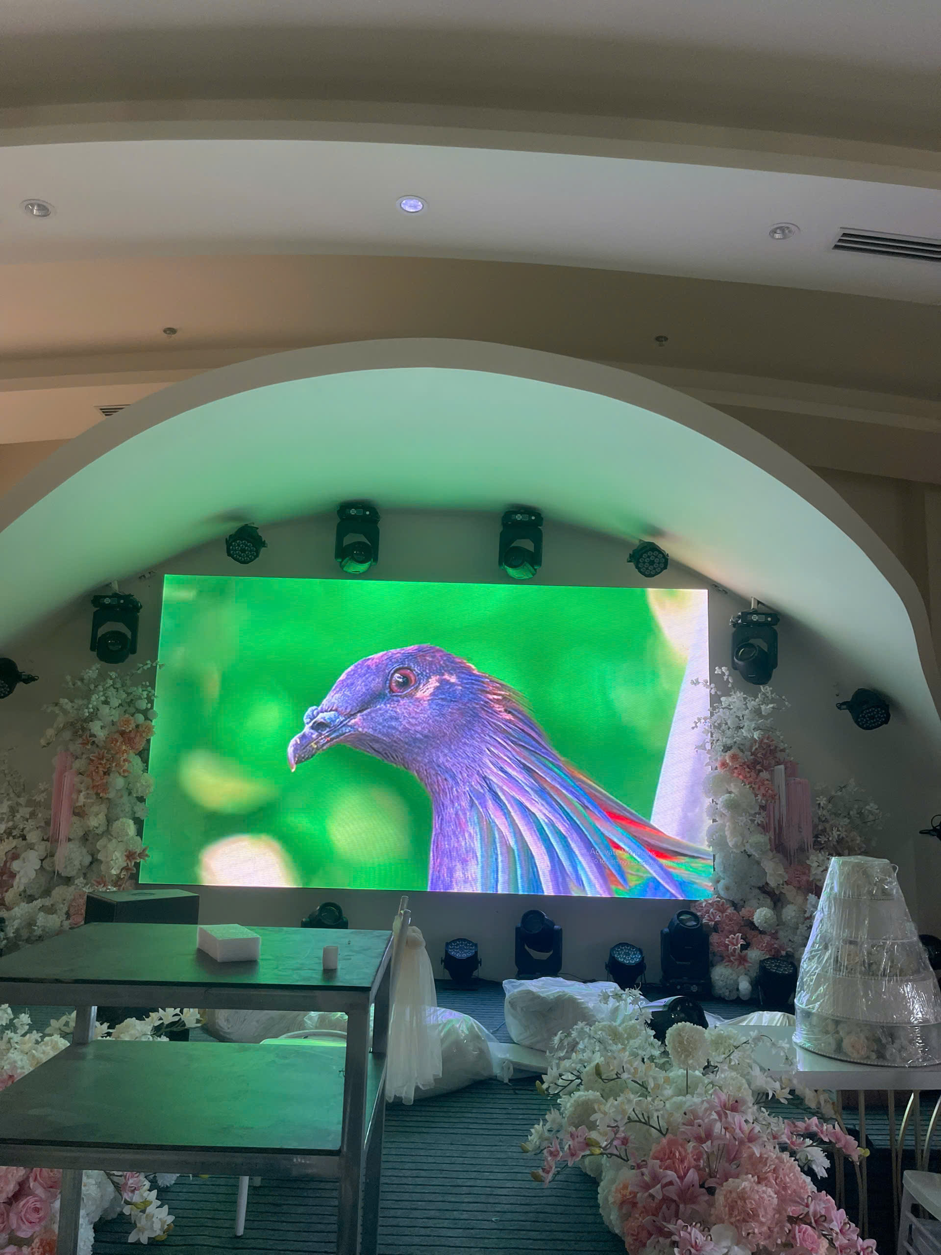DỰ ÁN MÀN HÌNH LED & ÁNH SÁNG TIỆC CƯỚI HỘI AN PALACE — DO ĐÈN SÂN KHẤU CQ THI CÔNG & LẮP ĐẶT